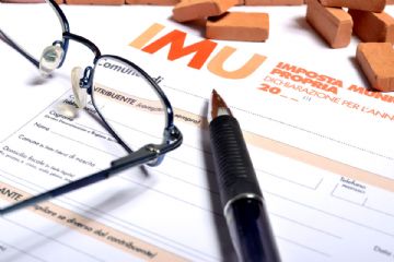 IMU anno 2025